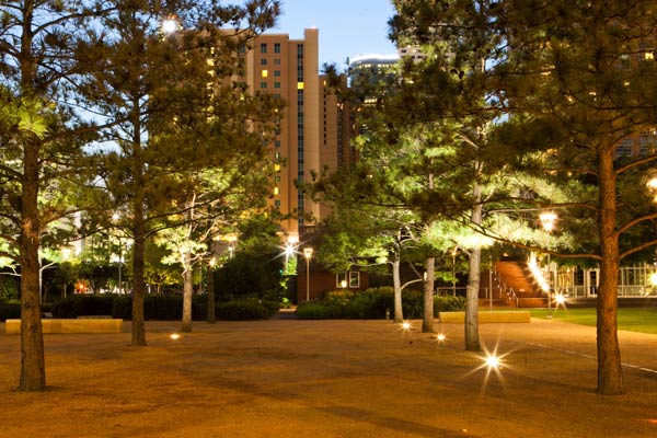 Maconda's Grove