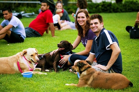 Sundays in the Park